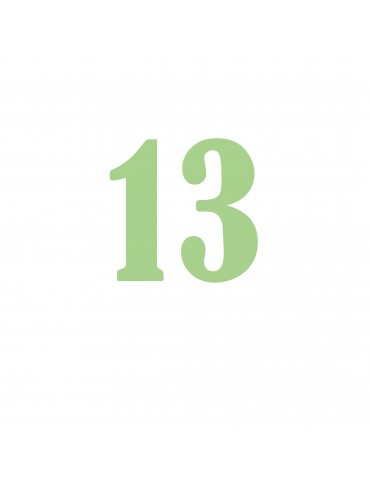 Número 13