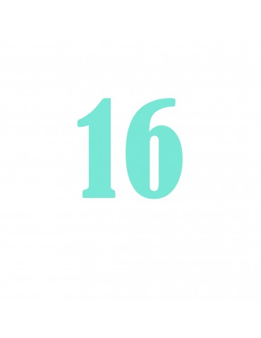 Número 16