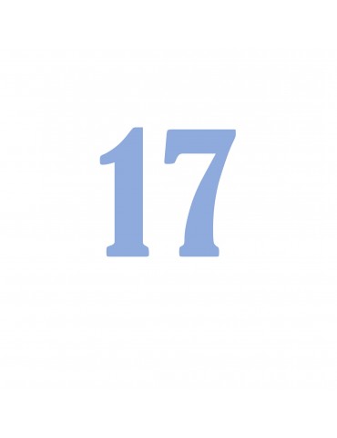 Número 17