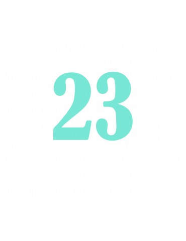 Número 23