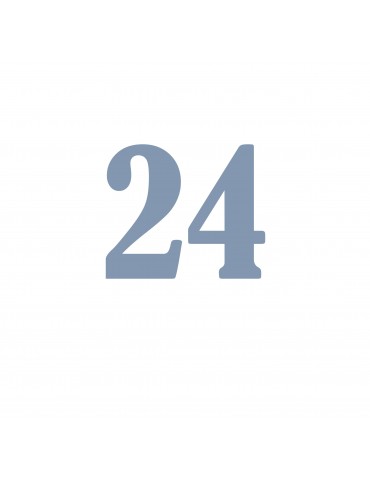 Número 24