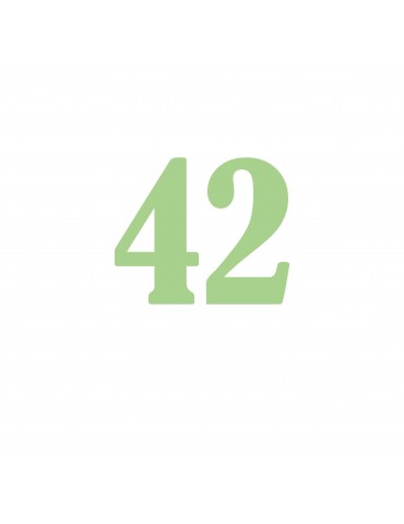 Número 42