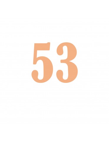 Número 53