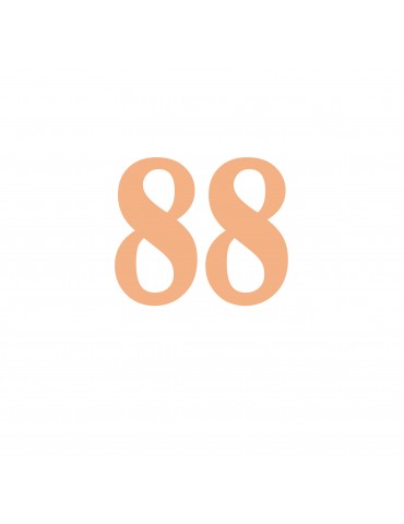 Número 88